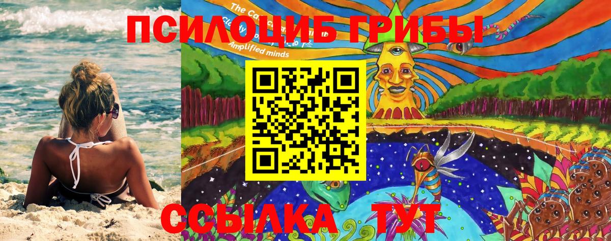 Ишим  Галлюциногенные грибы Psilocybe  Вход с VPN 