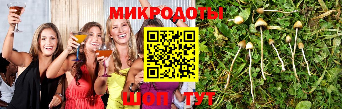 Галлюциногенные грибы мицелий Ишим